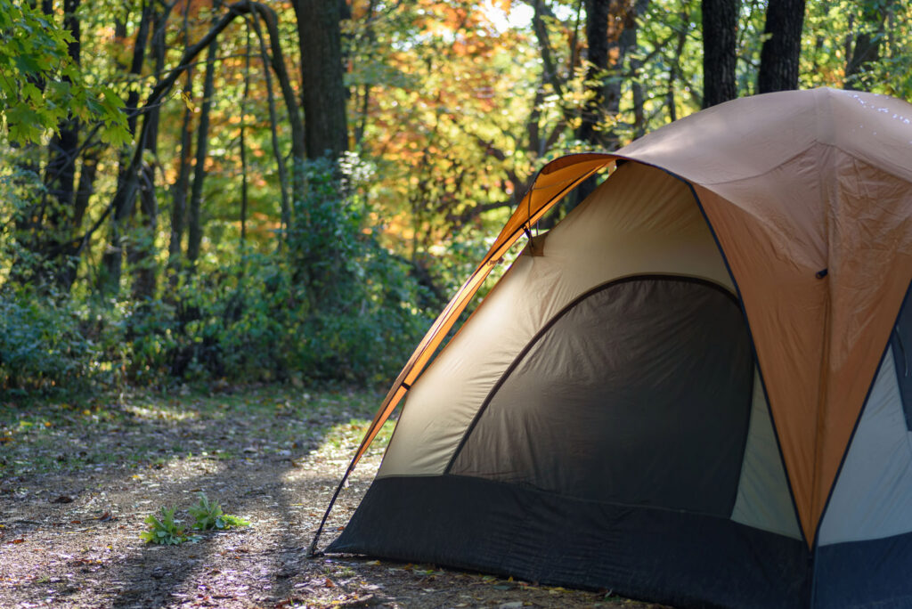 A brown and black camping tent stands in a sunlit forest clearing, surrounded by green trees and foliage with sunlight filtering through the leaves.